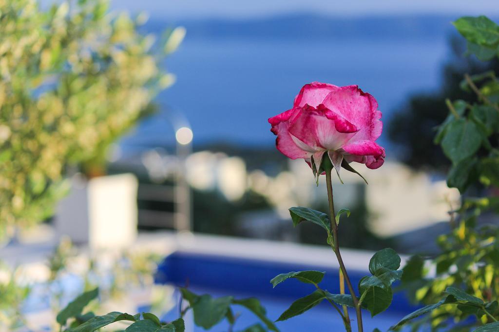 Villa Levanda Makarska Esterno foto
